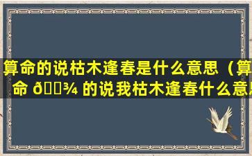 算命的说枯木逢春是什么意思（算命 🌾 的说我枯木逢春什么意思）